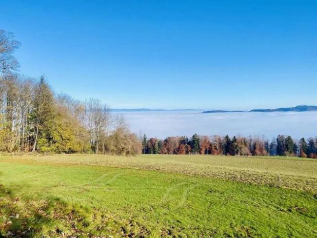 “孩子在瑞士公立学校上学,该‘躺’还是该‘卷’