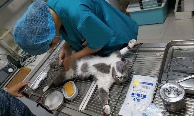 5个冷门但好就业的“工科专业”