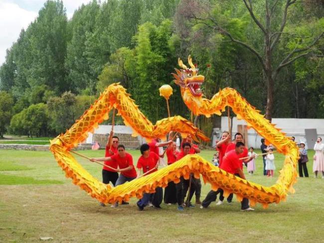 四年辗转三个国家四个城市，孩子上学怎么适应？