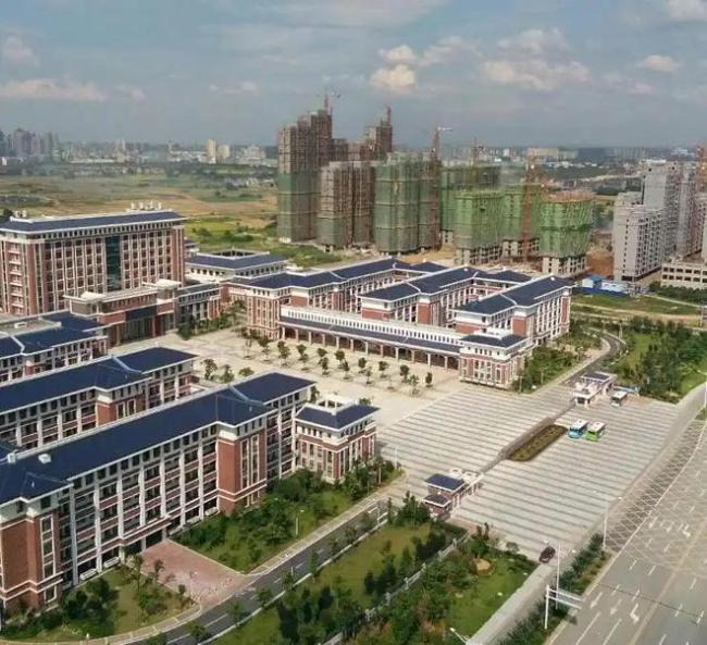 高三老师上课放电影，家长举报，教育局怒批老师，老师却集体喊冤