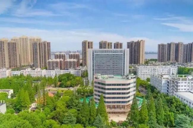 儿子省重点大学王牌专业毕业，求职直接被刷：较量，从进大学开始