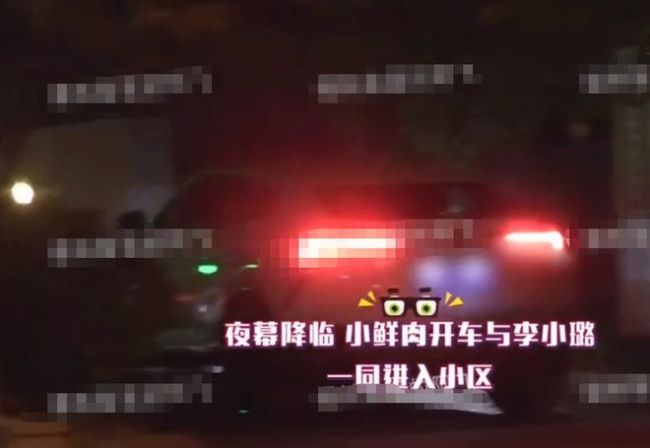 没和贾乃亮复合？李小璐与神秘男深夜同回小区被拍