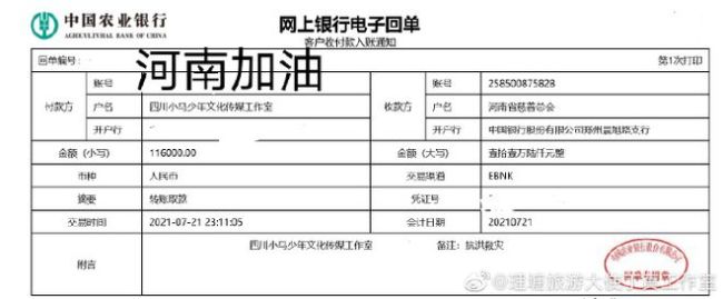 尽一份力！丁真和家乡村民捐款11万6千元驰援河南