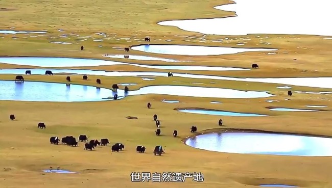 《无穷之路2：无价之保》回溯国家生态重建 TVB9.5分纪录片再创高水准！