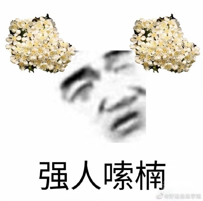 哈哈！石楠花的花语“yue” 所以这花到底什么味？