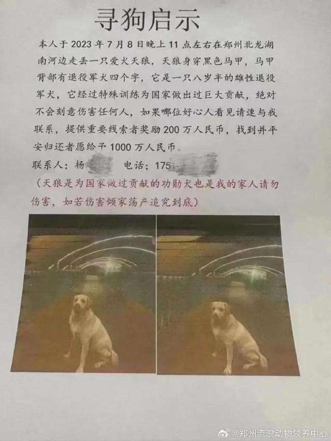 1000万变5000？ 悬赏千万的狗已找到 主人给了5000