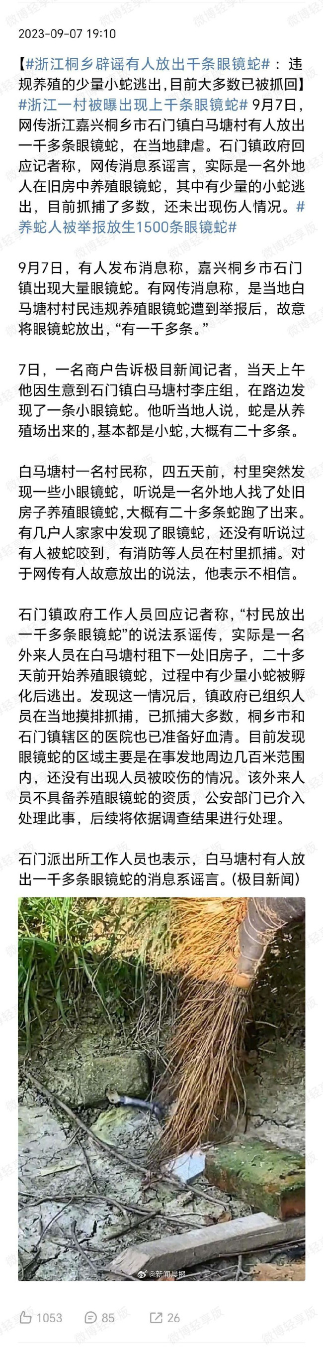 上千条？！农户遭举报后放生眼镜蛇？官方辟谣