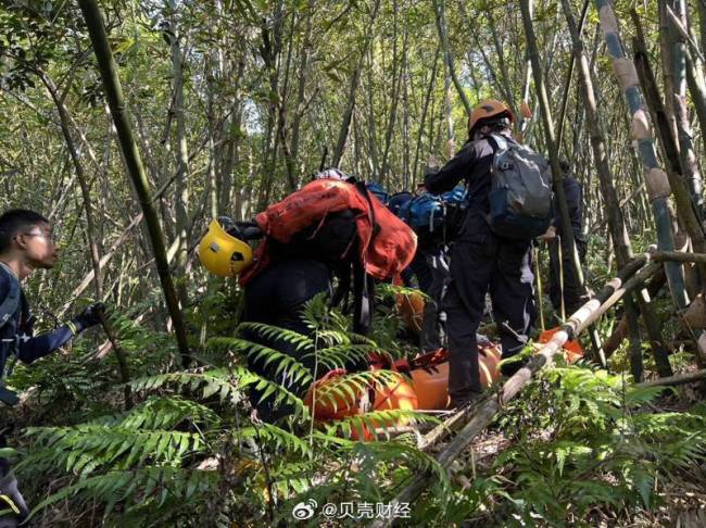 什么？！台湾一登山团遭蜂群攻击2死9伤