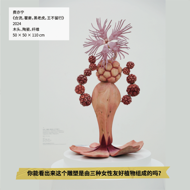 費亦寧.png