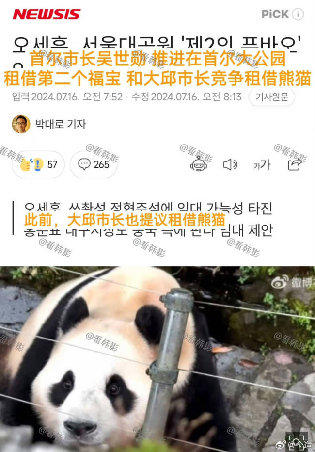 首尔市长请求向中国租借大熊猫遭网友回怼