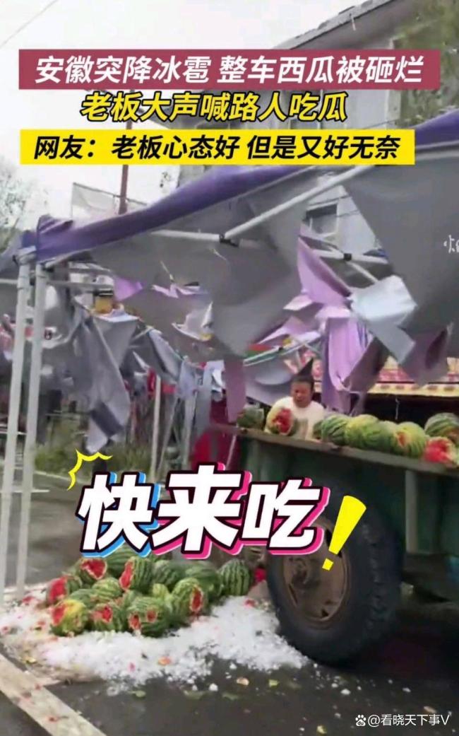 今日吃瓜网西瓜被冰雹砸烂老板喊人吃瓜