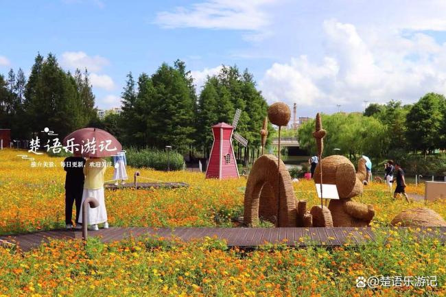 浙江宁波这片城中花海再次绽放，堪称赏花界顶流，非常值得游玩