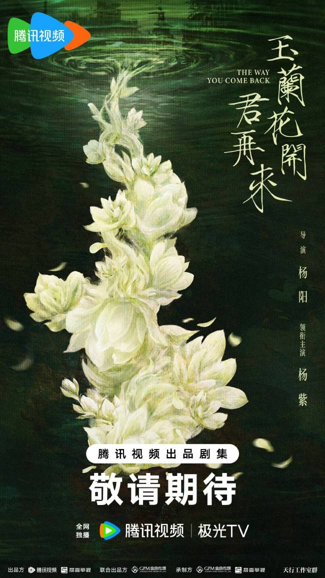 电视剧《玉兰花开君再来》官宣开机！杨紫领衔演绎女性成长史诗