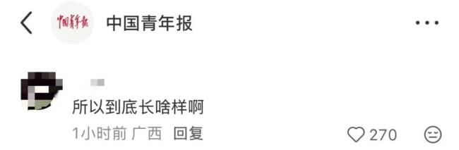 知情人士谈梅姨长相 与模拟画像相似度低