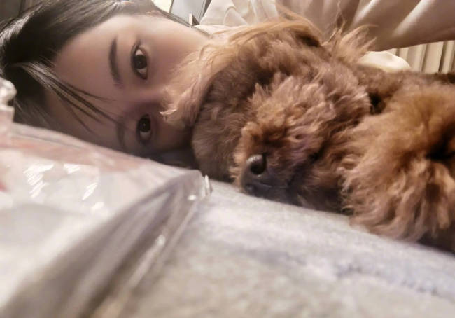 杨紫与宠物狗小piu亲密贴贴合影!画面温馨有爱