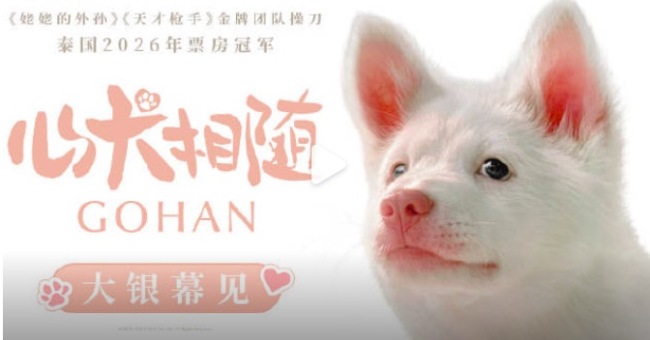 泰国票冠电影《心犬相随》确认引进