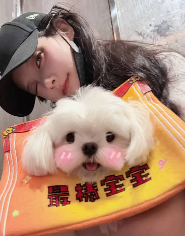 李一桐身穿彩色T恤配黑色短裙 怀抱小狗甜美可爱