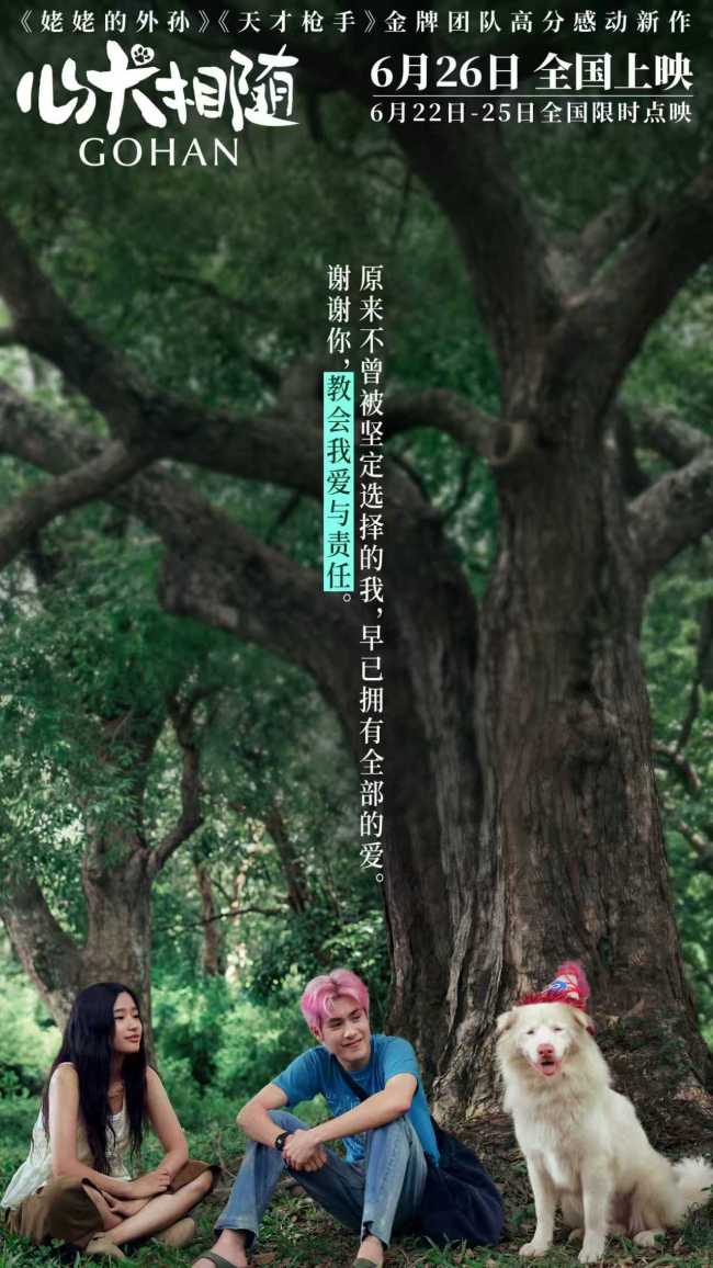 暑期首选电影《心犬相随》全国路演引爆口碑