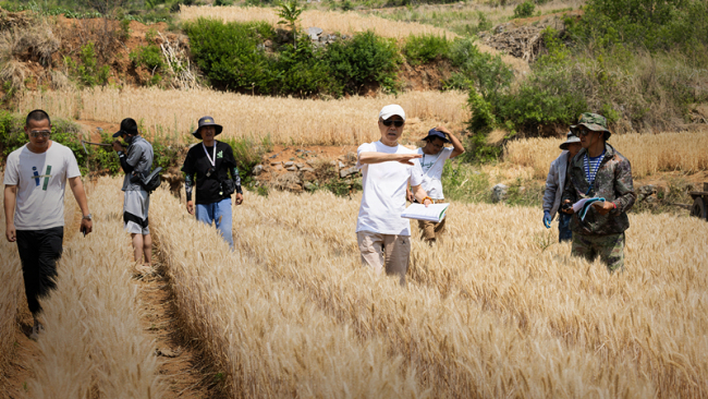 两年前放话“下届至少带两部作品参选”,刘家成今夜兑现承诺加冕飞天