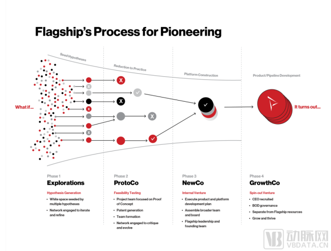 图2.Flagship创建并孵化企业的四个阶段（资料来源:官网）