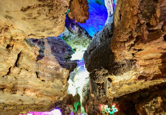 距离珍酒老厂区不到100公里的遵义绥阳双河洞，是目前中国最大的溶洞群，洞穴中含有很高的负氧离子，由此在地表生态之外，形成了特殊的地下环境。图源/视觉中国