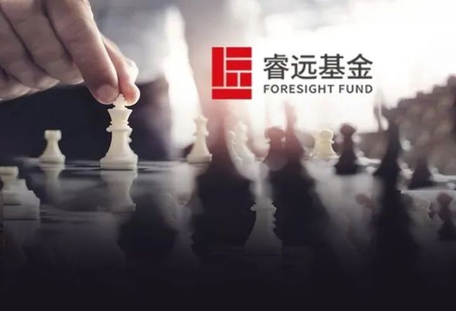 睿远多只基金上半年收益率超 5%，傅鹏博、赵枫调仓了这些股票