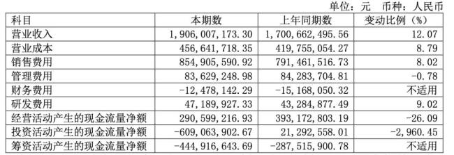 截图自羚锐制药2024年上半年年报