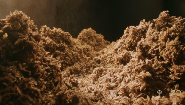 解码五粮液的品质密码——微生物