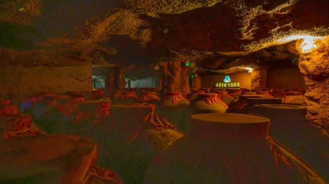 图丨古井贡酒无极酒窖