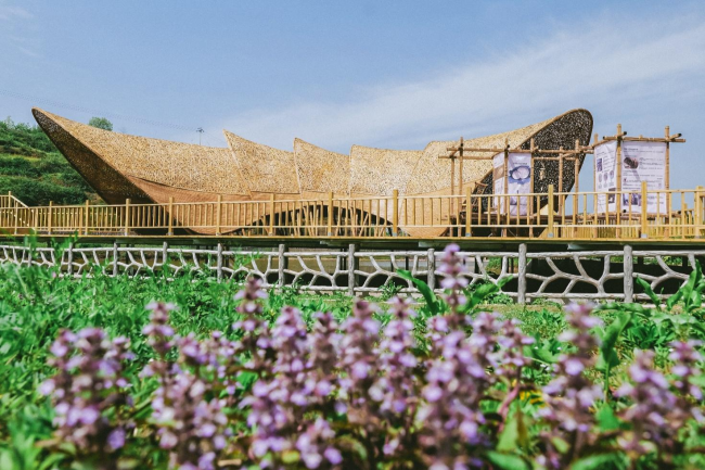 坐落于干埝村“溪贤山舍”的三星“未来学校”田野工坊