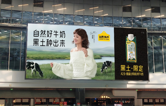 认养一头牛官宣品牌代言人赵丽颖