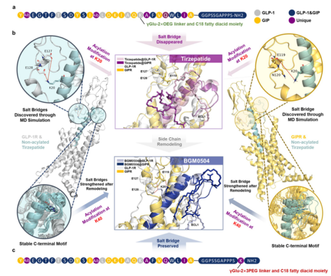 图2.BGM0504分子结构;图片来源:www.nature.com/scientificreports