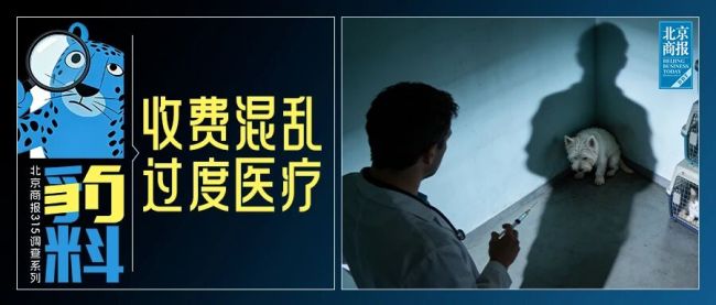多宠物被“治死”！宠物医院人药兽用、资质不全，只是冰山一角