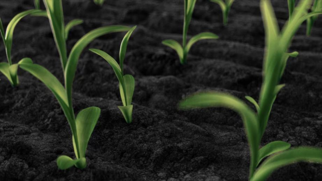 关于低GI的真实性、稳定性和全产业链，北纬47°用一份科学答卷给出了答案