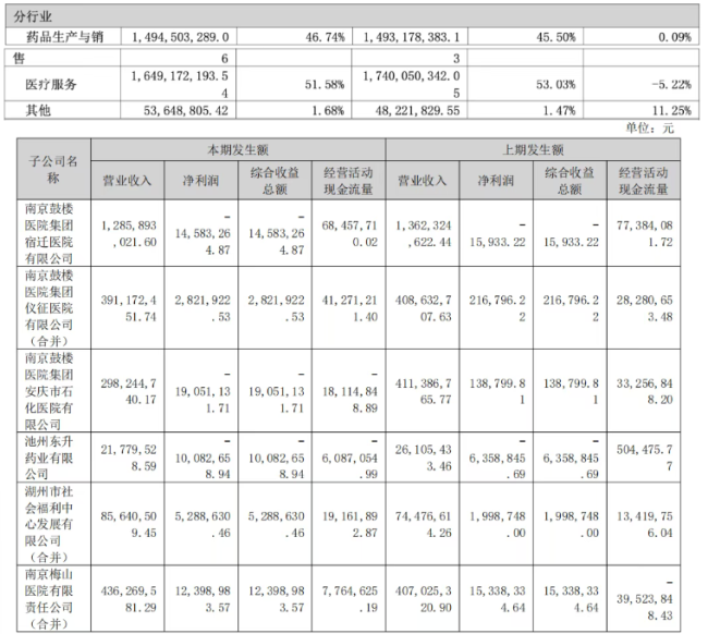图片开头:金陵药业2025年年报