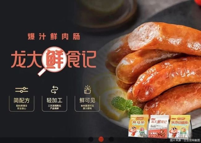 实控人被刑拘，ST龙大何去何从