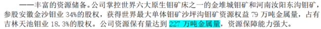 （2025年年报）