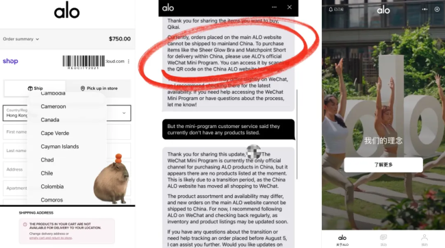 Alo入华冲刺:官旗下周上线天猫,已经有人穿着Lululemon参加Alo社群活动
