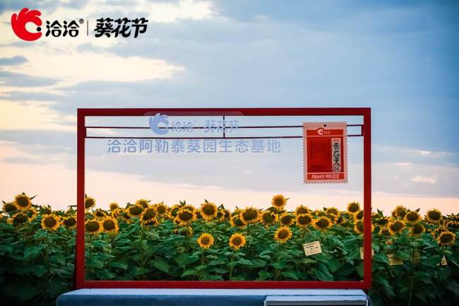 从业绩反弹到品牌破圈，洽洽食品埋下新一轮增长伏笔
