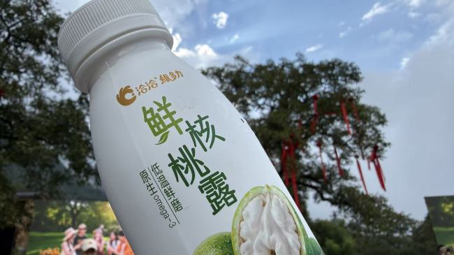 从漾濞出发：洽洽用工业化思维重塑核桃大单品
