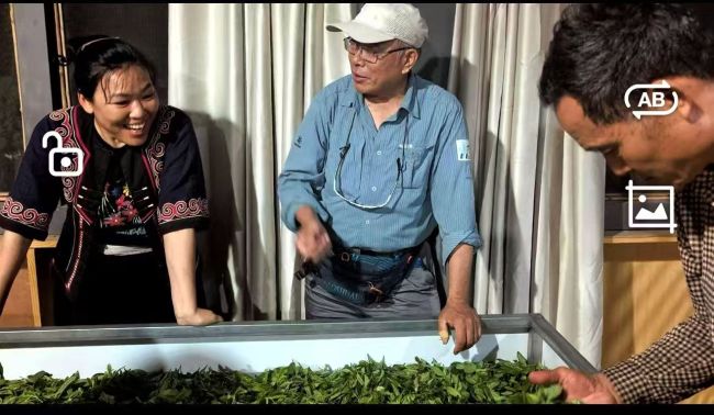 王方辰：茶非“茶”方可成茶