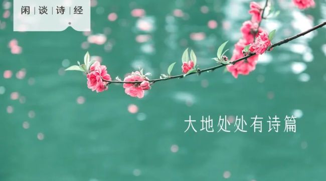 灼灼桃花春来报