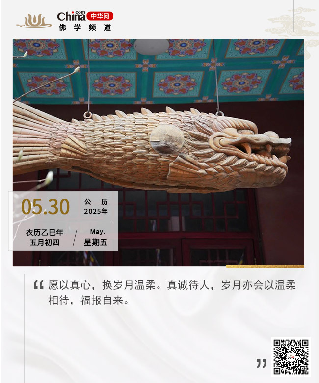 以真心待岁月