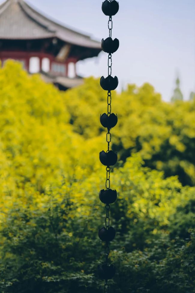 佛教既认为根（眼、耳等）境（色、声等）相合，才有识的发生，如何又说万法唯识呢？