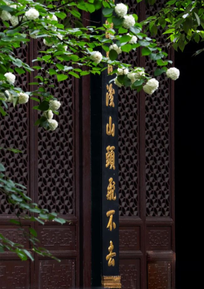 什么是法供养？