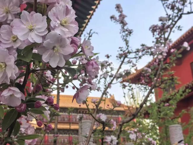五一逢望日・三寺启法会 | 恭邀十方善信同赴胜缘