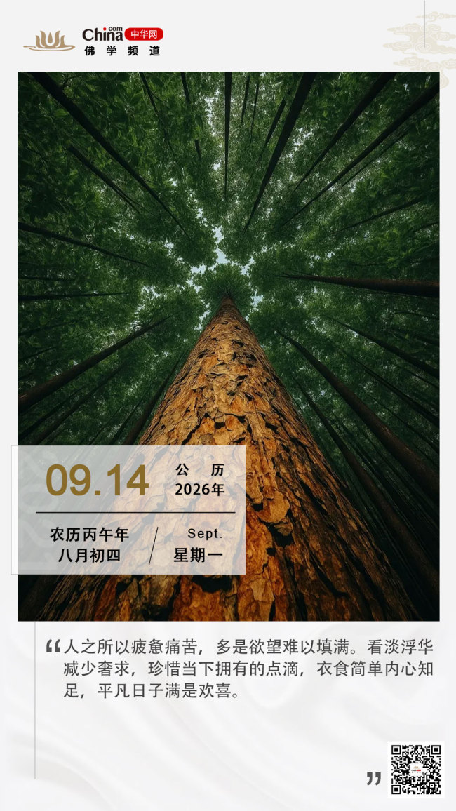 知足便是清欢