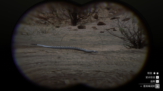 《荒野大镖客2》动物菱斑响尾蛇在哪里找