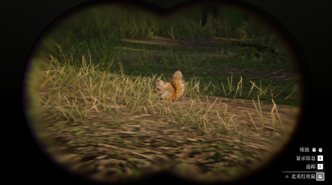 《荒野大镖客2》动物美国红松鼠在哪里找