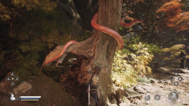 《黑神话：悟空》全隐藏地图攻略合集